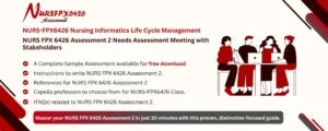 NURS FPX 6426 Assessment 2 Needs Assessment Meeting with Stakeholders