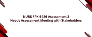 NURS FPX 6426 Assessment 2 Needs Assessment Meeting with Stakeholders